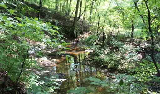 Photo #78 of 19322 Wyatts Way, Evington, VA 21.7 acres