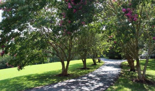 Photo #75 of 19322 Wyatts Way, Evington, VA 21.7 acres