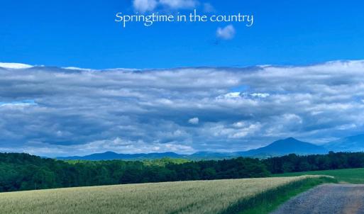 Photo #62 of 1690 Regal Road, Bedford, VA 1.3 acres