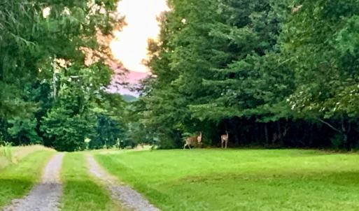 Photo #56 of 1690 Regal Road, Bedford, VA 1.3 acres
