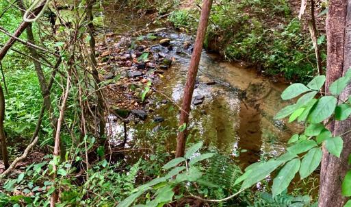 Photo #59 of 1690 Regal Road, Bedford, VA 1.3 acres
