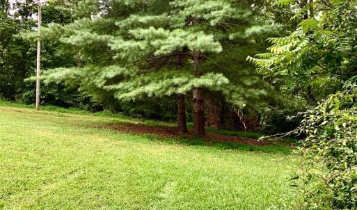 Photo #61 of 1690 Regal Road, Bedford, VA 1.3 acres