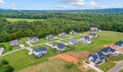 Photo #79 of 1309 West Crossing Drive, Forest, VA 0.6 acres