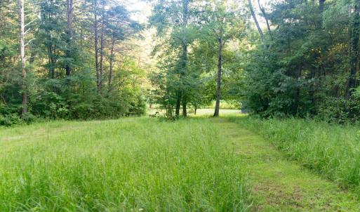 Photo #53 of 1269 Peters Creek, Big Island, VA 16.7 acres