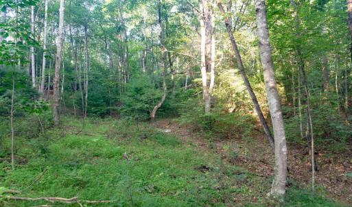 Photo #52 of 1269 Peters Creek, Big Island, VA 16.7 acres