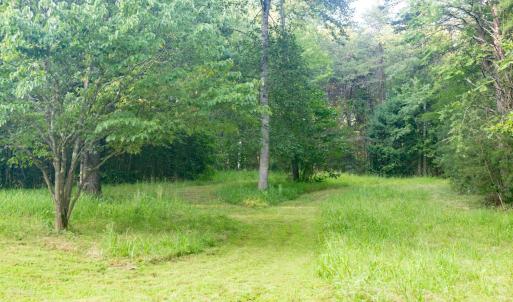 Photo #50 of 1269 Peters Creek, Big Island, VA 16.7 acres