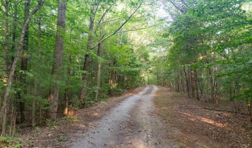 Photo #51 of 1269 Peters Creek, Big Island, VA 16.7 acres