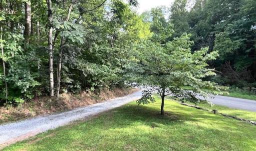 Photo #8 of 1269 Peters Creek, Big Island, VA 16.7 acres