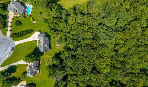 Photo #62 of 1004 Wildbriar Place, Forest, VA 0.9 acres