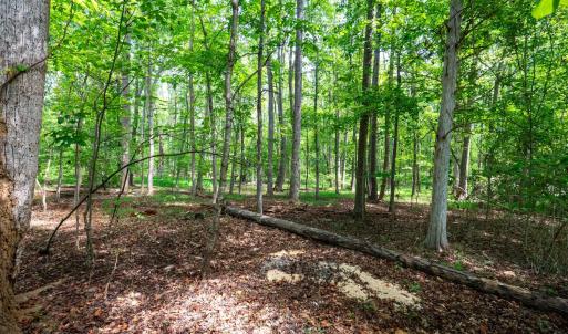 Photo #66 of 1004 Wildbriar Place, Forest, VA 0.9 acres