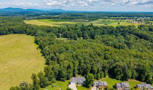 Photo #60 of 1004 Wildbriar Place, Forest, VA 0.9 acres