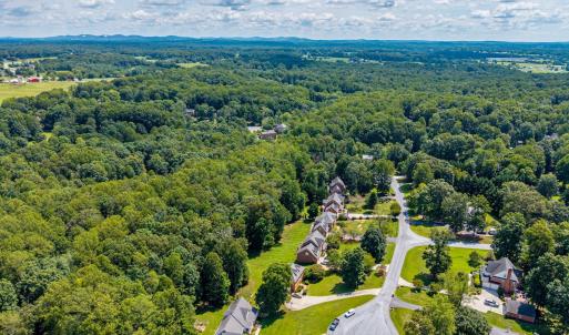 Photo #59 of 1004 Wildbriar Place, Forest, VA 0.9 acres