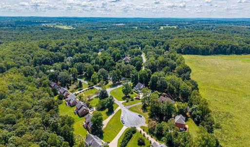 Photo #58 of 1004 Wildbriar Place, Forest, VA 0.9 acres