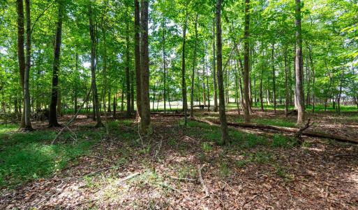 Photo #65 of 1004 Wildbriar Place, Forest, VA 0.9 acres
