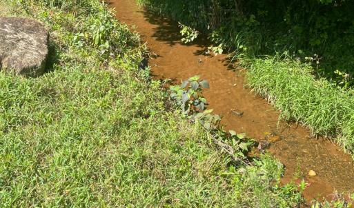 Photo #52 of 1182 Crest Ridge Drive, Bedford, VA 0.2 acres