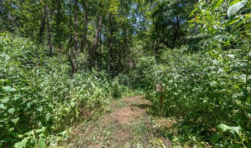Land behind backyard
