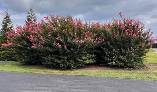 Photo #90 of 126 Golf Course Trl, Amherst, VA 1.1 acres