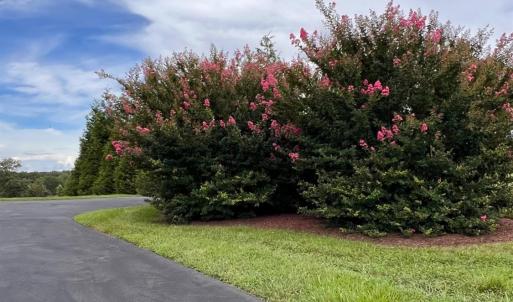 Photo #83 of 126 Golf Course Trl, Amherst, VA 1.1 acres