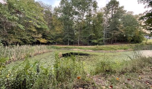 Photo #48 of 202 Longview Road, Hurt, VA 3.7 acres