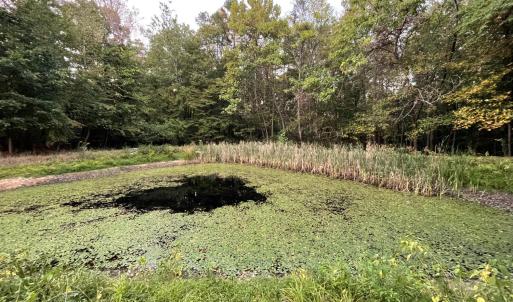 Photo #49 of 202 Longview Road, Hurt, VA 3.7 acres