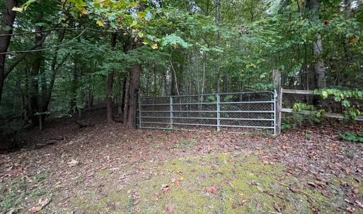 Photo #50 of 202 Longview Road, Hurt, VA 3.7 acres