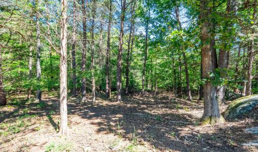 Photo #49 of 1101 Foxfire ln, Bedford, VA 4.9 acres
