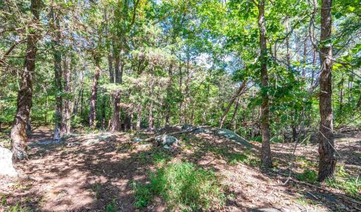 Photo #48 of 1101 Foxfire ln, Bedford, VA 4.9 acres