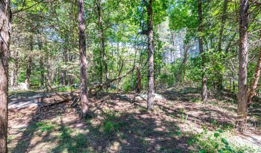 Photo #47 of 1101 Foxfire ln, Bedford, VA 4.9 acres
