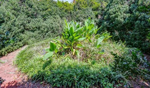 Photo #64 of 2710 Goode Station Road, Goode, VA 24.1 acres