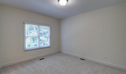 Photo #48 of 1480 Gilfield Drive, Forest, VA 1.7 acres