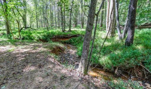 Photo #75 of 1480 Gilfield Drive, Forest, VA 1.7 acres