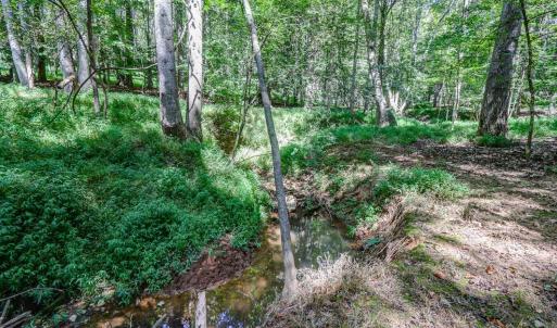 Photo #76 of 1480 Gilfield Drive, Forest, VA 1.7 acres