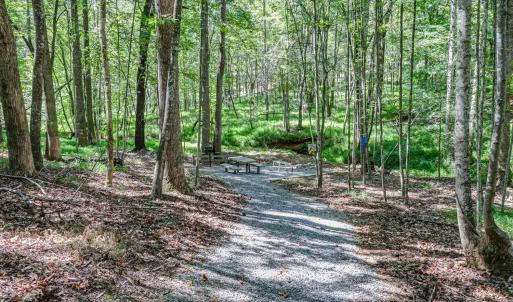 Photo #72 of 1480 Gilfield Drive, Forest, VA 1.7 acres