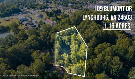 Photo #45 of 109 Blumont dr, Lynchburg, VA 1.2 acres