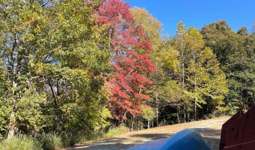 Photo #26 of 713 Leesville Lake Drive, Pittsville, VA 5.0 acres