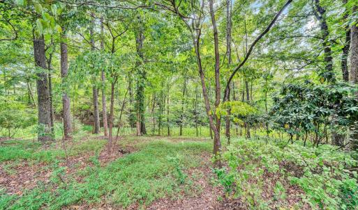 Photo #61 of 201 Whitley Way, Lynchburg, VA 0.7 acres