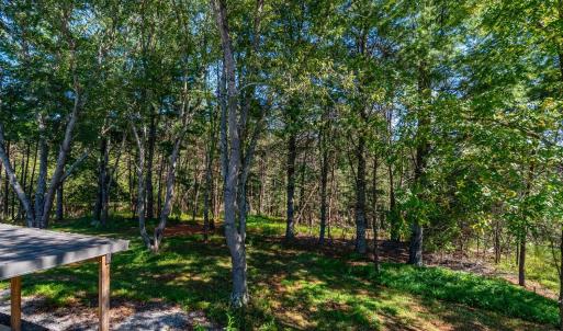 Photo #48 of 233 Saddleback, Monroe, VA 8.7 acres