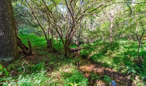Photo #51 of 233 Saddleback, Monroe, VA 8.7 acres
