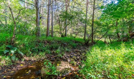 Photo #50 of 233 Saddleback, Monroe, VA 8.7 acres