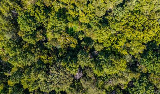 Photo #64 of 233 Saddleback, Monroe, VA 8.7 acres