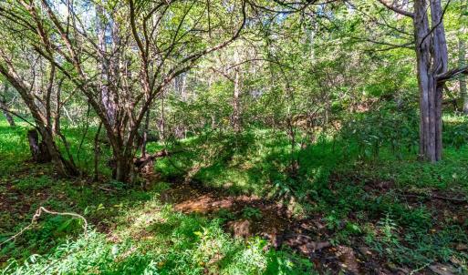 Photo #49 of 233 Saddleback, Monroe, VA 8.7 acres