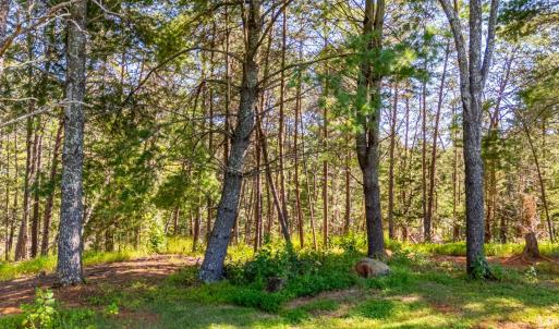 Photo #57 of 233 Saddleback, Monroe, VA 8.7 acres