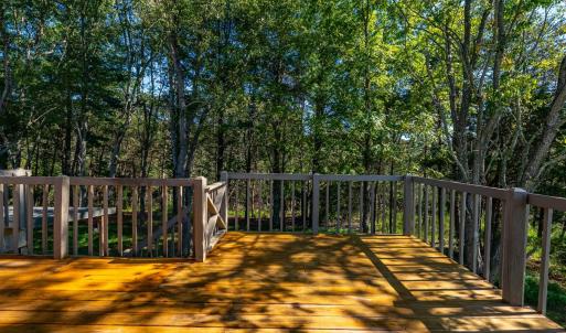 Photo #44 of 233 Saddleback, Monroe, VA 8.7 acres