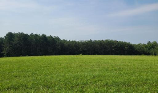 Photo #89 of 1562 Rocks Church Road, Pamplin, VA 114.1 acres
