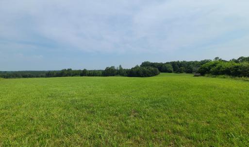Photo #91 of 1562 Rocks Church Road, Pamplin, VA 114.1 acres