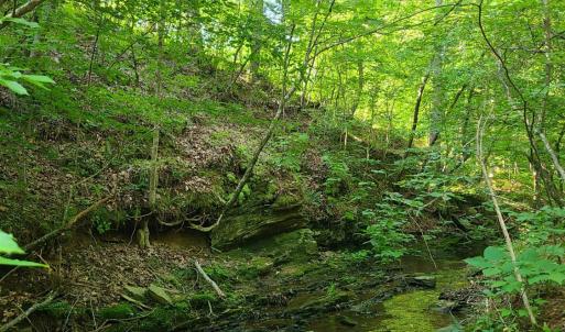 Photo #74 of 1562 Rocks Church Road, Pamplin, VA 114.1 acres