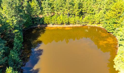Photo #68 of 1562 Rocks Church Road, Pamplin, VA 114.1 acres