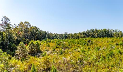 Photo #61 of 1562 Rocks Church Road, Pamplin, VA 114.1 acres