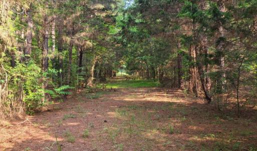 Photo #77 of 1562 Rocks Church Road, Pamplin, VA 114.1 acres