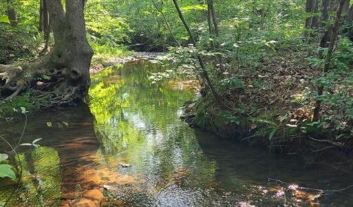 Photo #72 of 1562 Rocks Church Road, Pamplin, VA 114.1 acres